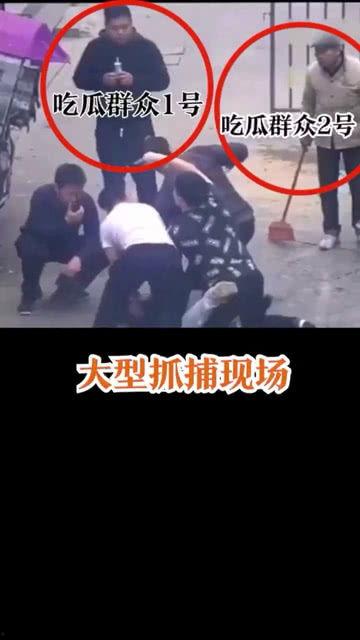 抓捕吃瓜群众怎么处理,抓捕行动中的智慧处理策略