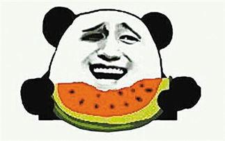 吃瓜群众到底在吃什么瓜,吃瓜群众究竟在品尝哪些瓜果美味