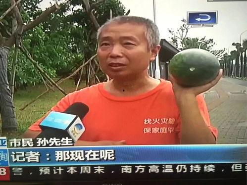 福安吃瓜群众事件,网络舆论下的社会现象解析