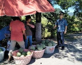 蒙特利尔吃瓜群众,吃瓜群众的欢乐时光