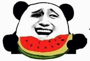 吃瓜群众萱萱,揭秘娱乐圈那些事儿