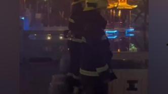 末世吃瓜群众,吃瓜群众的生存智慧与趣味观察