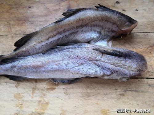 鲁迅描述吃瓜群众是鲈鱼,鲈鱼般的冷漠与围观