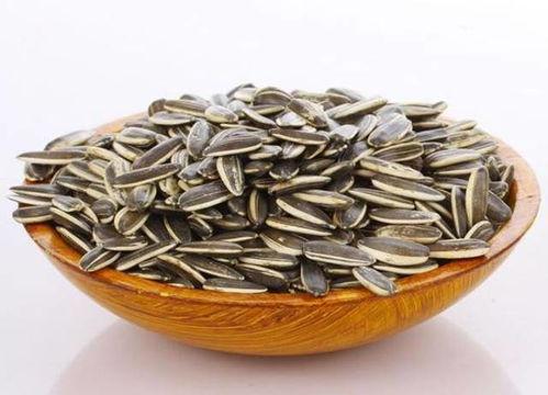 吃瓜群众板凳瓜子,揭秘网络热议背后的趣味与真相