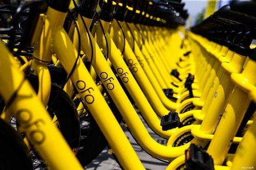 吃瓜群众ofo,ofo共享单车，辉煌与困境并存