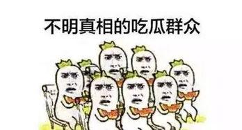 吃瓜群众抖音名叫什么,揭秘“吃瓜群众”抖音名背后的故事