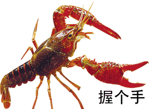 吃瓜群众小龙虾,吃瓜群众眼中的美食传奇