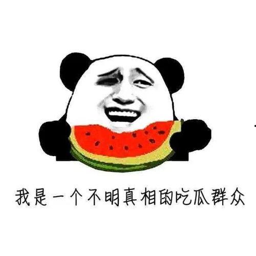 吃瓜群众与普通人的区别与联系,吃瓜群众与普通人的异同解析