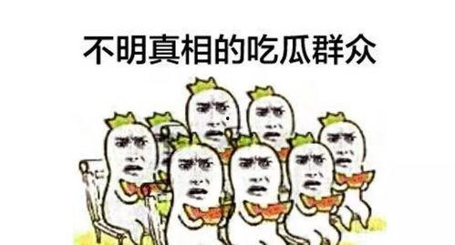 吃瓜群众说纷纭什么意思,揭秘网络舆论背后的真相