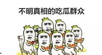 吃瓜群众不止一个笑话,吃瓜群众不止一个的欢乐笑话集锦