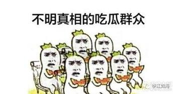 吃瓜群众和普通的区别,吃瓜群众与普通人的智慧差异解析