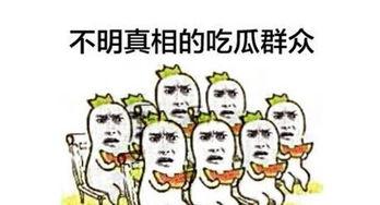 百度吃瓜群众,揭秘网络舆论场的众生相