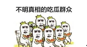去看看吃瓜群众怎么说,吃瓜群众热议焦点，热门话题背后的声音