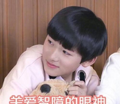 贺峻霖吃瓜群众,吃瓜群众眼中的娱乐圈风云人物