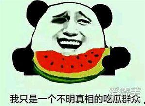 吃瓜群众看笑话的表,吃瓜群众眼中的趣味笑话大盘点
