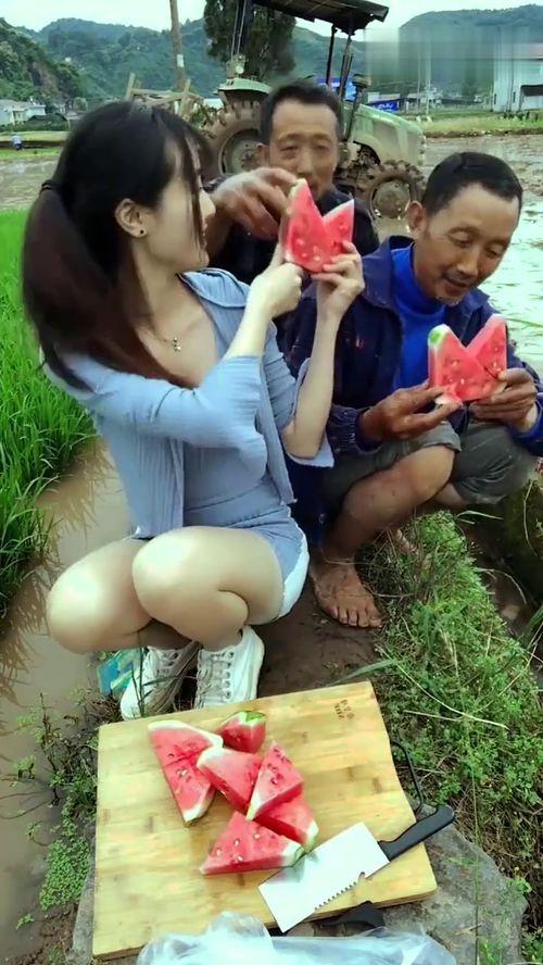 潜水中的吃瓜群众,揭秘水下“吃瓜群众”的欢乐世界