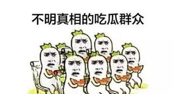 吐彩虹比心吃瓜群众,揭秘网络热词背后的文化现象