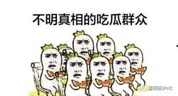 吃瓜群众看企鹅图片搞笑