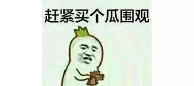 坐板凳的吃瓜群众,见证时代变迁的平民视角