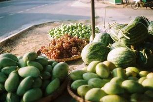 铁观音吃瓜群众,吃瓜群众品鉴茶韵人生