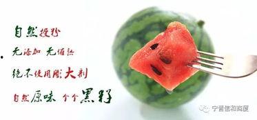 宁晋县吃瓜群众,吃瓜群众的热议焦点