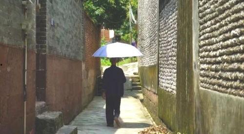 有关吃瓜群众的事例,围观中的社会现象解析