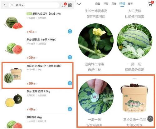 群众吃瓜数字代表什么