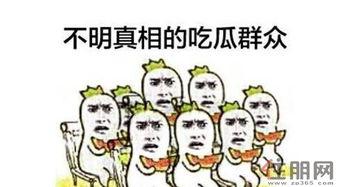吃瓜群众大围