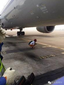 吃瓜群众瓜哥讲飞机,飞机背后的科技与传奇