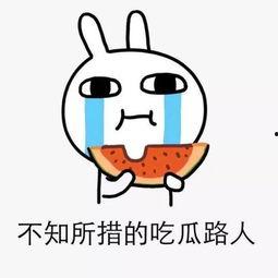 吃瓜群众累了,疲惫背后的娱乐狂欢