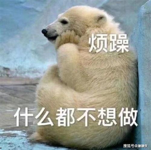 我只做吃瓜群众图片搞笑,图解搞笑瞬间，笑出腹肌！