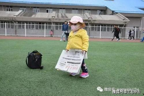 吃瓜群众岱宗岱哪去了