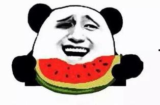 吃瓜群众阿鱼出道吧少年,从吃瓜群众到出道吧少年的蜕变之路