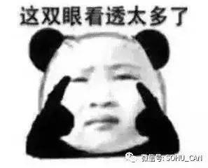 吃瓜群众的小傻瓜是谁,吃瓜群众热议的焦点人物