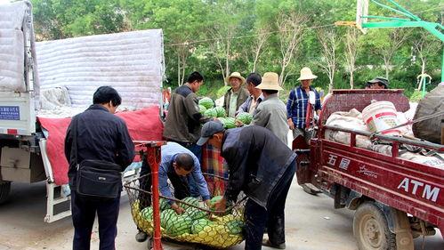 沂水三轮车事件吃瓜群众,真相与争议交织的街头冲突