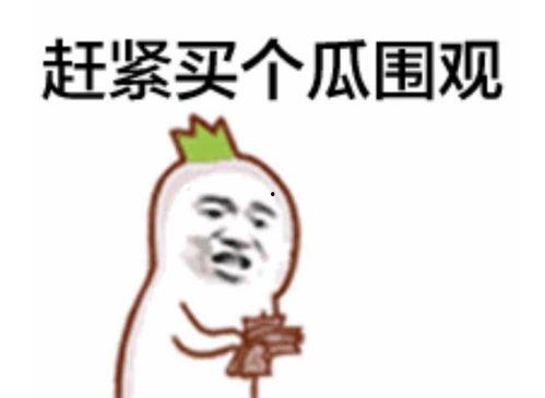 新北美吃瓜群众是谁啊