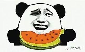 聪颖悠闲的吃瓜群众是谁,网络红人的崛起之路