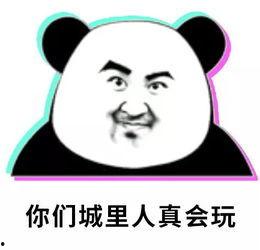 熊猫吃瓜群众头像