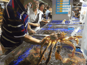 龙虾群众吃瓜视频,趣味横生一幕引网友热议