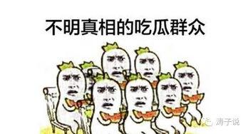 所有吃瓜群众完整版,一场全民参与的舆论盛宴