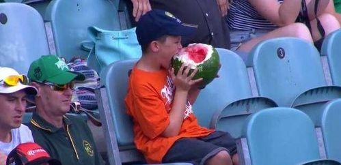 国外吃瓜群众看热闹,国际热点事件背后的吃瓜现象