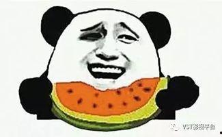 吃瓜群众聊天背景图微信,微信社交新潮流