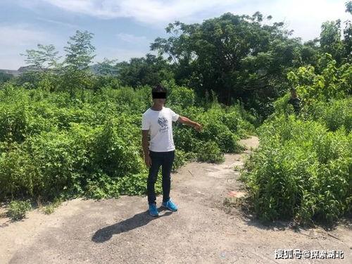 吃瓜群众被拘留视频大全,吃瓜群众围观视频大盘点