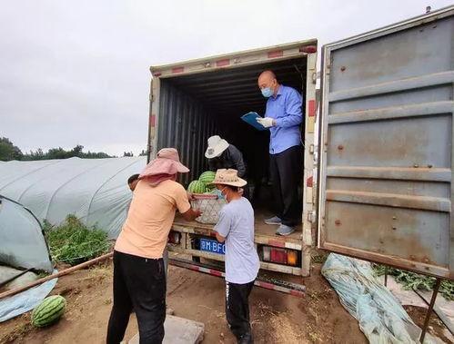 吃瓜群众享口福