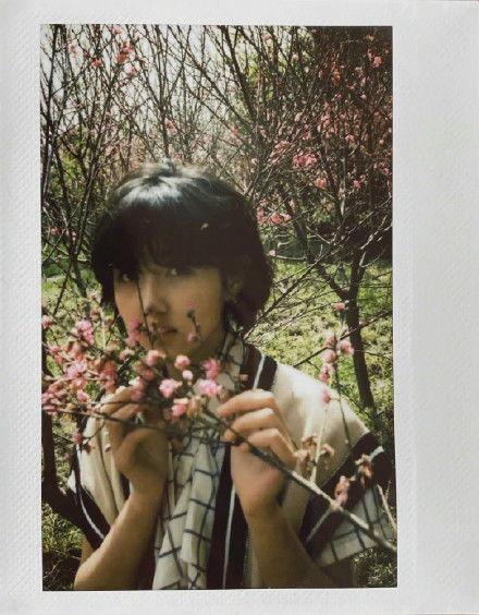 张新成吃瓜群众张子枫,吃瓜群众视角下的青春演绎