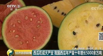 吃瓜群众吃到自家西瓜,吃瓜群众意外尝到自家甜蜜西瓜