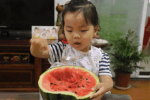 吃瓜群众真正吃瓜吗知乎