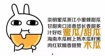 怎样做回吃瓜群众视频