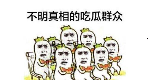 年少不懂事的吃瓜群众,吃瓜群众成长记