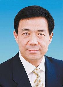 吃瓜群众王玮简历照片
